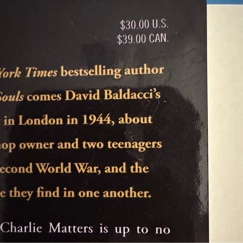 DAVID BALDACCI STRANGERS IN TIME - Picture 6 of 6